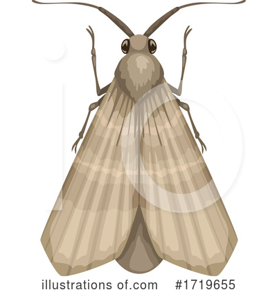 Moth Clipart #1719655 by Vector Tradition SM