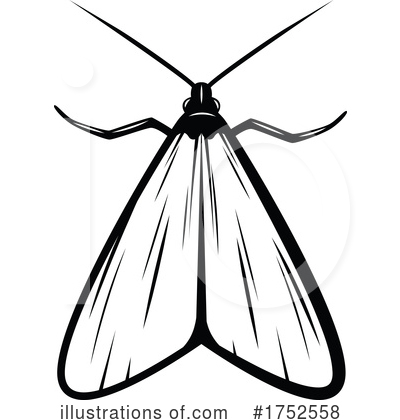 Moth Clipart #1752558 by Vector Tradition SM