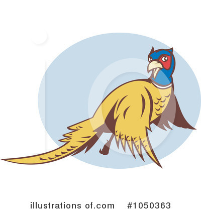 Pheasant Clipart #1050363 by patrimonio