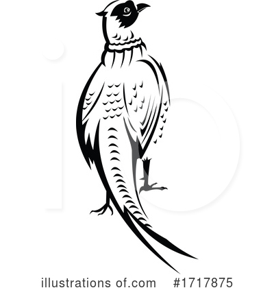 Royalty-Free (RF) Pheasant Clipart Illustration by patrimonio - Stock Sample #1717875