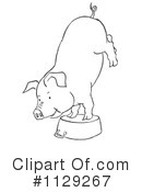 Pig Clipart #1129267 by Picsburg