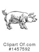 Pig Clipart #1457592 by AtStockIllustration