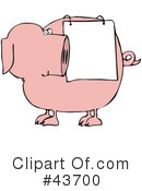 Pig Clipart #43700 by djart