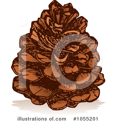 Pine Cone Clipart #1055201 by Any Vector