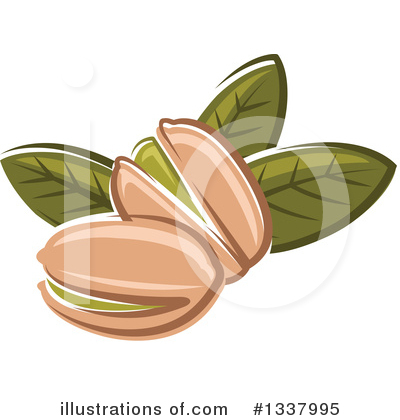 Nut Clipart #1337995 by Vector Tradition SM