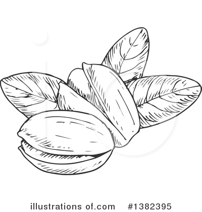 Royalty-Free (RF) Pistachio Clipart Illustration by Vector Tradition SM - Stock Sample #1382395