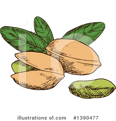 Royalty-Free (RF) Pistachio Clipart Illustration by Vector Tradition SM - Stock Sample #1390477