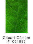 Plant Clipart #1061986 by Kenny G Adams