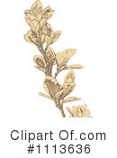 Plant Clipart #1113636 by Andrei Marincas