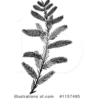 Royalty-Free (RF) Plant Clipart Illustration by Prawny Vintage - Stock Sample #1157495