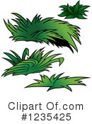 Plant Clipart #1235425 by dero