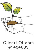 Plant Clipart #1434889 by Lal Perera