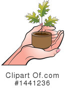 Plant Clipart #1441236 by Lal Perera