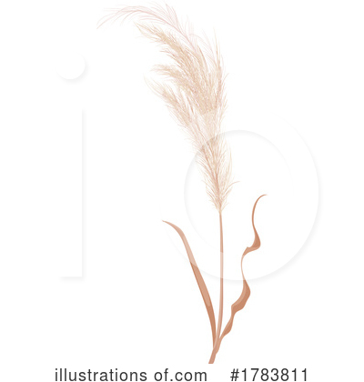 Grass Clipart #1783811 by Vector Tradition SM