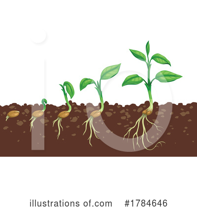 Royalty-Free (RF) Plant Clipart Illustration by Vector Tradition SM - Stock Sample #1784646