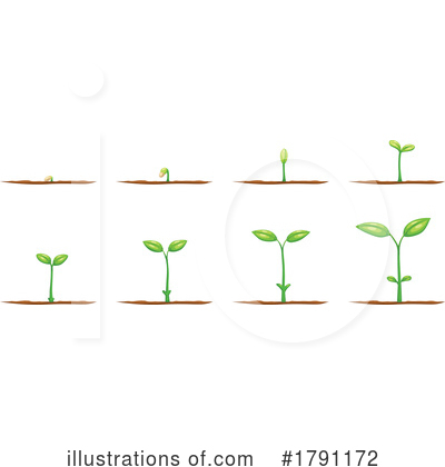 Growth Clipart #1791172 by Vector Tradition SM