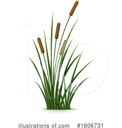 Cattails Clipart #1806731 by Vector Tradition SM