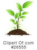 Plant Clipart #26555 by beboy