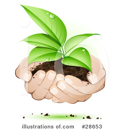 Seedling Clipart #28653 by beboy