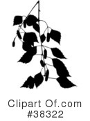 Plant Clipart #38322 by dero