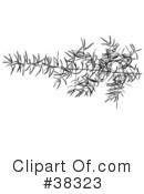 Plant Clipart #38323 by dero