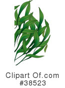 Plant Clipart #38523 by dero