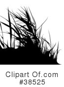 Plant Clipart #38525 by dero