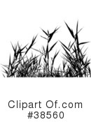 Plant Clipart #38560 by dero