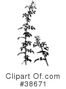 Plant Clipart #38671 by dero