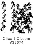 Plant Clipart #38674 by dero