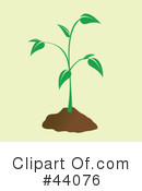 Plant Clipart #44076 by Arena Creative