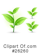 Plants Clipart #26260 by beboy
