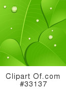 Plants Clipart #33137 by elaineitalia