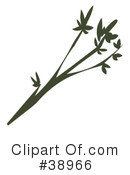 Plants Clipart #38966 by Tonis Pan
