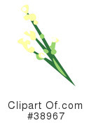 Plants Clipart #38967 by Tonis Pan