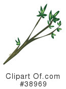 Plants Clipart #38969 by Tonis Pan