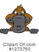 Platypus Clipart #1273750 by Dennis Holmes Designs