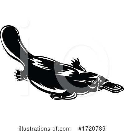 Royalty-Free (RF) Platypus Clipart Illustration by patrimonio - Stock Sample #1720789