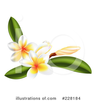 Royalty-Free (RF) Plumeria Clipart Illustration by AtStockIllustration - Stock Sample #228184