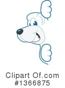 Polar Bear School Mascot Clipart #1366875 by Mascot Junction