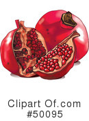 Pomegranate Clipart #50095 by Pushkin