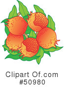 Pomegranate Clipart #50980 by Cherie Reve