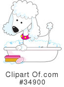 Poodle Clipart #34900 by Maria Bell