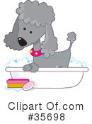 Poodle Clipart #35698 by Maria Bell