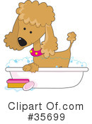 Poodle Clipart #35699 by Maria Bell
