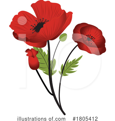 Poppies Clipart #1805412 by Vitmary Rodriguez