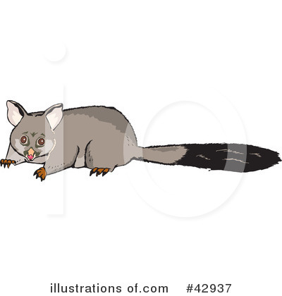Royalty-Free (RF) Possum Clipart Illustration by Dennis Holmes Designs - Stock Sample #42937