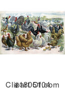 Poultry Clipart #1805104 by JVPD
