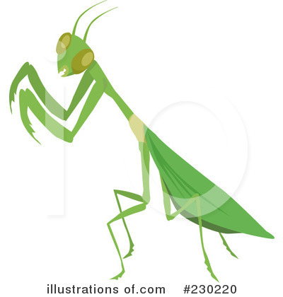 Praying Mantis Clipart #230220 by Dennis Holmes Designs
