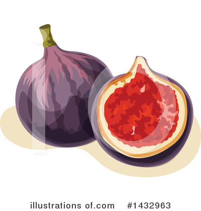 Fig Clipart #1432963 by Vector Tradition SM
